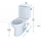 TOTO CST454CEFRG#01 Drake II Two-Piece Elongated 1.28 GPF Universal Height Toilet with CEFIONTECT and Right-Hand Trip Lever , Cotton White