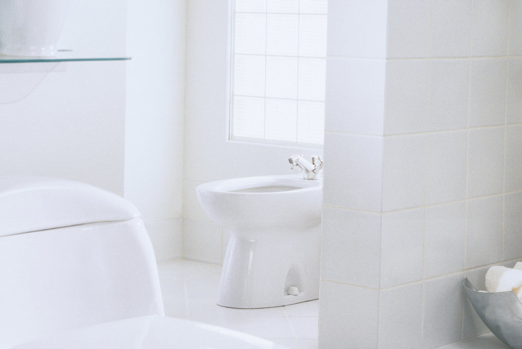 TOTO BT500AR#03 Piedmont Single Hole Deck Mounted Faucet Bidet - Bone