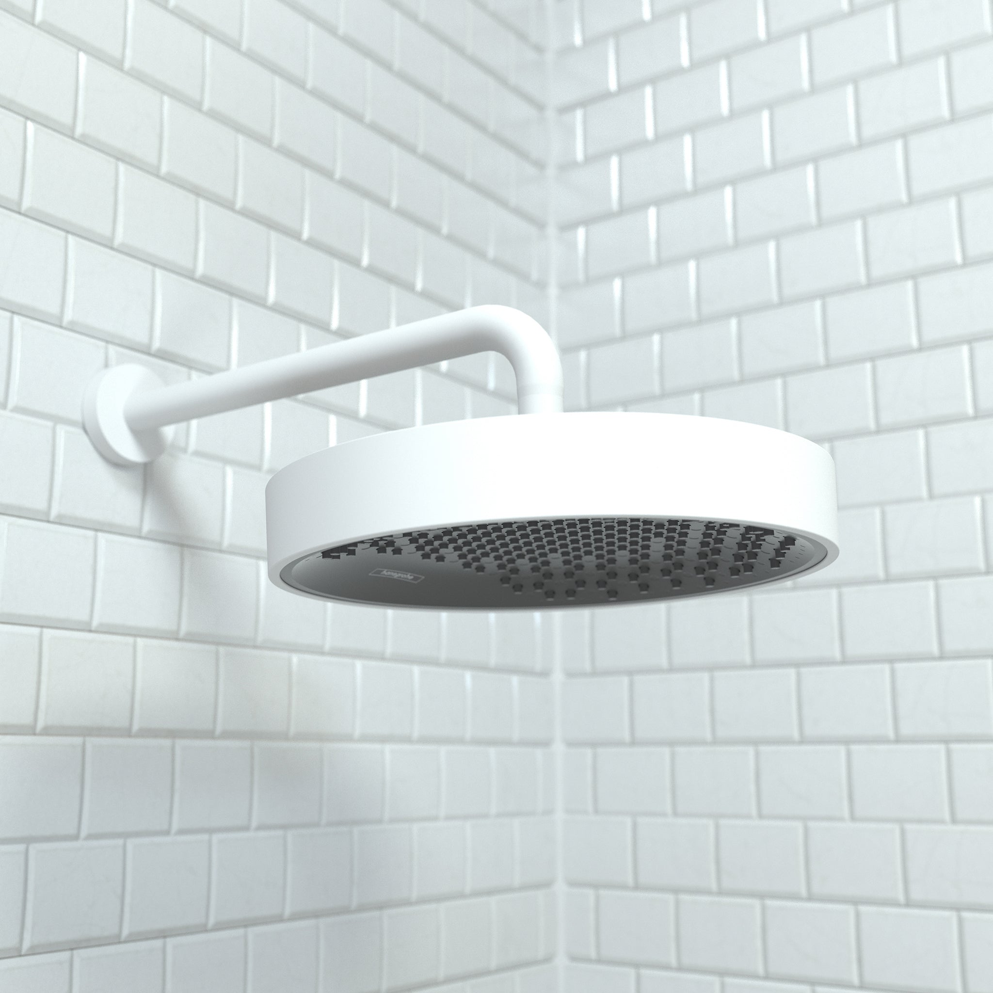 HANSGROHE 26228701 Rainfinity Showerhead 250 1-Jet, 2.5 GPM - Matte White