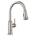 BLANCO 442502 Empressa Empressa High Arc Pull-Down Dual-Spray Kitchen Faucet - Polished Nickel in Polished Nickel