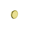 AXOR 16911250 Montreux AXOR Montreux Color Cap Kit Set - Brushed Gold Optic