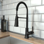 HANSGROHE 04792670 Joleena Semi-Pro Kitchen Faucet, 2-Spray, 1.75 GPM - Matte Black