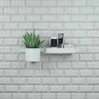 HANSGROHE 27921700 WallStoris Tumbler - Matte White