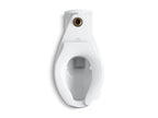 KOHLER K-4352-L-0 Anglesey Floor-Mount Top Spud Flushometer Bowl With Bedpan Lugs - White