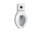 KOHLER K-4386-0 Anglesey Flushometer Bowl With Top Spud, 1.6 Gpf - White