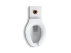 KOHLER K-4386-L-0 Anglesey Floor-Mount Top Spud Flushometer Bowl With Bedpan Lugs - White