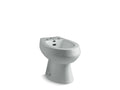 KOHLER K-4854-95 San Tropez Vertical Spray Bidet With 4 Faucet Holes - Ice Grey