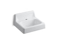KOHLER K-2812-0 Hudson 20" X 18" Wall-Mount/Concealed Arm Carrier Bathroom Sink With Single Faucet Hole And Lugs For Chair Carrier - White