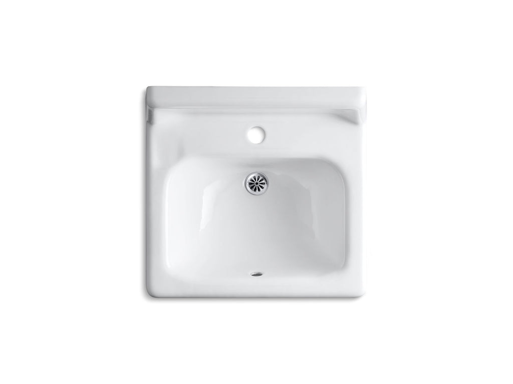 KOHLER K-2812-0 Hudson 20" X 18" Wall-Mount/Concealed Arm Carrier Bathroom Sink With Single Faucet Hole And Lugs For Chair Carrier - White