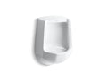 KOHLER K-4989-R-0 Freshman Siphon-Jet Half-Stall 1.0 Gpf Urinal, Rear Spud - White
