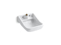 KOHLER K-12867-0 Camerton 25" Wall-Mount Blow-Out Service Sink - White