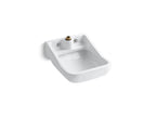 KOHLER K-12867-0 Camerton 25" Wall-Mount Blow-Out Service Sink - White