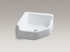 KOHLER K-6710-0 Whitby Floor-Mount Corner Service Sink - White