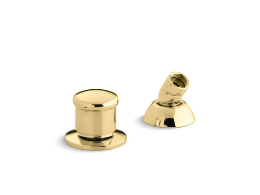 KOHLER K-8549-PB Two-Way Diverter Valve And Handshower Hose Guide In Vibrant Polished Brass