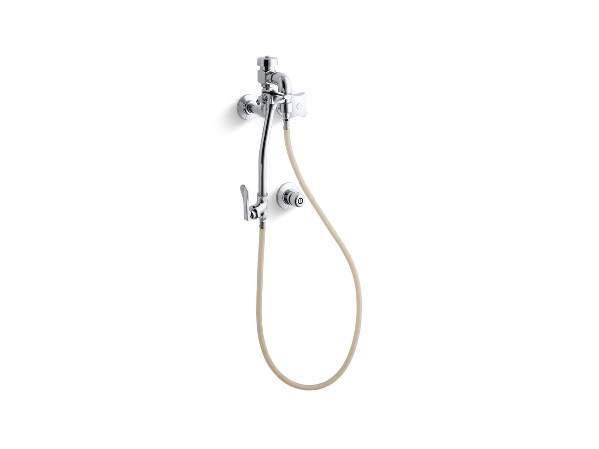 KOHLER K-13931-2A-CP Triton Built-In Bedpan Washer With Washer Standard Sprayhead And Handle - Polished Chrome