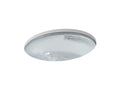 KOHLER K-2741-B11 Whist 19" Oval Undermount Bathroom Sink, No Overflow - Ice