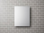 KOHLER K-CB-CLC2026FS 20" W X 26" H Aluminum Single-Door Medicine Cabinet With Mirrored Door, Beveled Edges