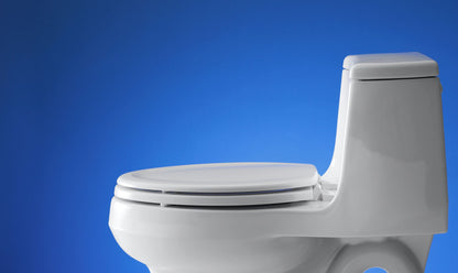 KOHLER K-4647-0 Stonewood Elongated Toilet Seat In White