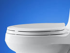 KOHLER K-4652-71 Lustra Quick-Release Elongated Toilet Seat - Seafoam Green