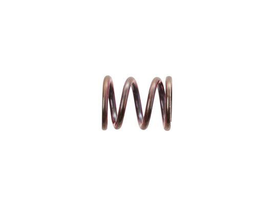 KOHLER Spring, K-34290