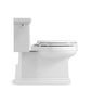 KOHLER K-3981-0 Tresham One-Piece Compact Elongated Toilet With Skirted Trapway, 1.28 Gpf In White