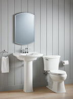 KOHLER K-3073-NA Archer 20" W X 31" H Aluminum Single-Door Medicine Cabinet, Beveled Edges