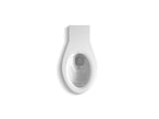 KOHLER K-4398-0 Anglesey Floor-Mount Rear Spud Flushometer Bowl With Integral Seat - White