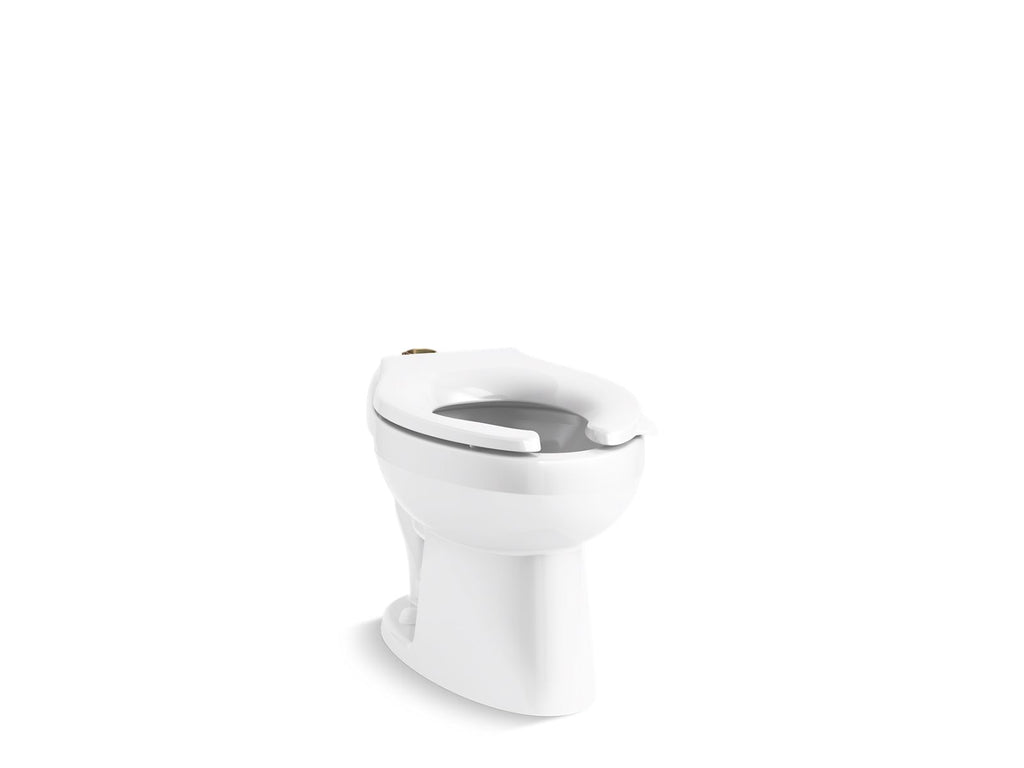 KOHLER K-96053-7 Wellcomme Ultra Floor-Mount Top Spud Flushometer Bowl - Black Black