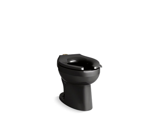 KOHLER K-96053-L-7 Wellcomme Ultra Floor-Mount Top Spud Flushometer Bowl With Bedpan Lugs In Black Black