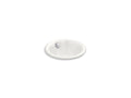 KOHLER K-20211-FF Iron Plains 12" Round Drop-In/Undermount/Vessel Bathroom Sink In Sea Salt
