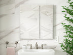 KOHLER K-CB-CLC2526FS 25" W X 26" H Aluminum Two-Door Medicine Cabinet With Mirrored Doors, Beveled Edges