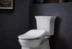 KOHLER K-26132-CSP-96 Purewash E545 Elongated Bidet Toilet Seat - Biscuit