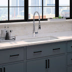 KOHLER K-5864-5U-96 Cape Dory 33" Undermount Single-Bowl Kitchen Sink - Biscuit