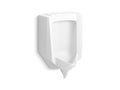 KOHLER K-25048-ER-0 Stanwell Blow-Out Half-Stall 0.5–1.0 Gpf Urinal, Rear Spud - White