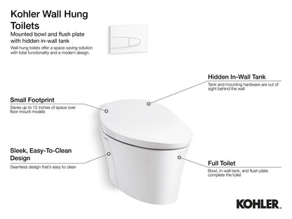 KOHLER K-6284-NA 2" x 6" in-wall tank and carrier system