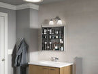KOHLER K-81145-DA1 Maxstow 20" W X 24" H Medicine Cabinet - Dark Anodized Aluminum