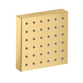 AXOR 28491251 ShowerSolutions Shower Module 5" x 5" Square - Brushed Gold Optic