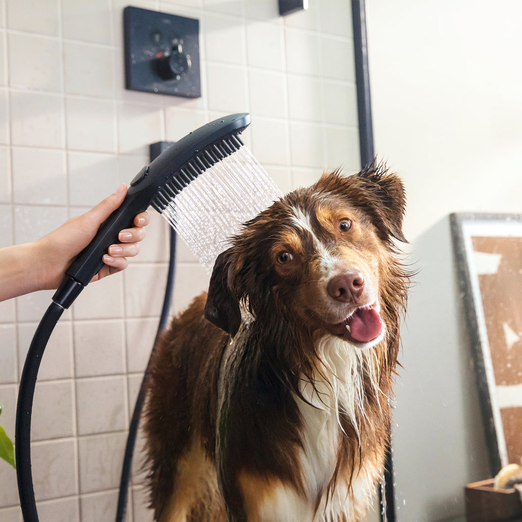 HANSGROHE 04973670 Dog Shower Dog Shower + Quick Connect, 3-Spray, 1.75 GPM, - Black
