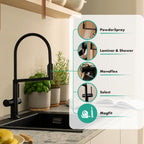 HANSGROHE 72861671 Talis N Semi-Pro PowderSpray Kitchen Faucet 1.75 GPM - Matte Black