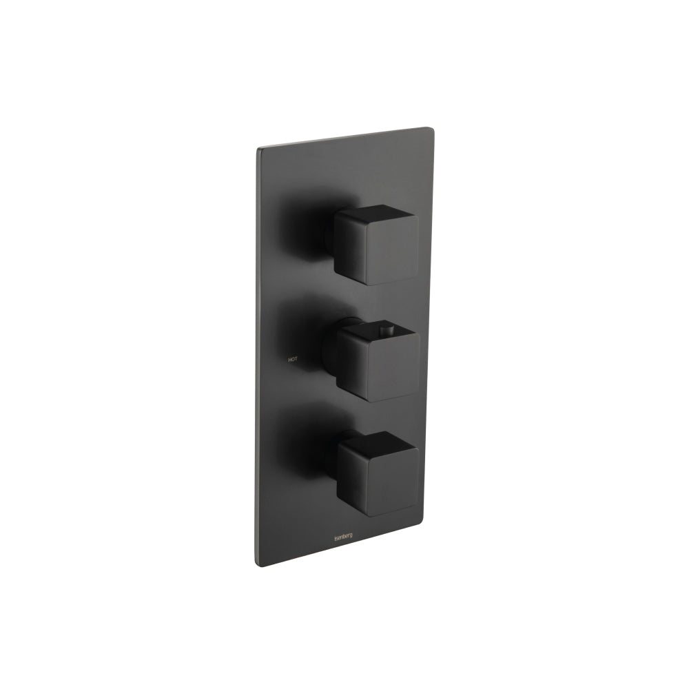 ISENBERG 196.4401MB Matte Black Serie 196 3/4" Thermostatic Valve and Trim - 2 Outputs