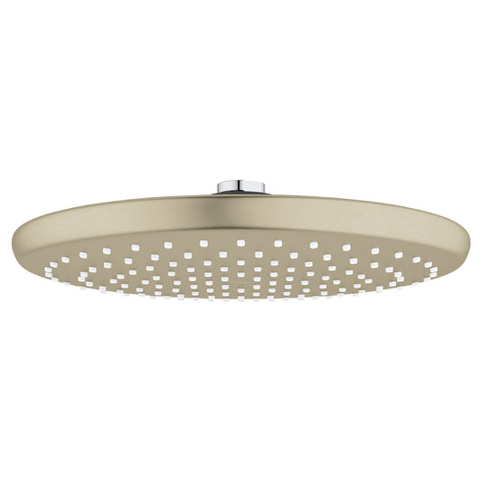 GROHE 26715EN0 Tempesta Brushed Nickel 250 Rain Shower Head, 9 7â„8" - 1 Spray, 1.75 gpm