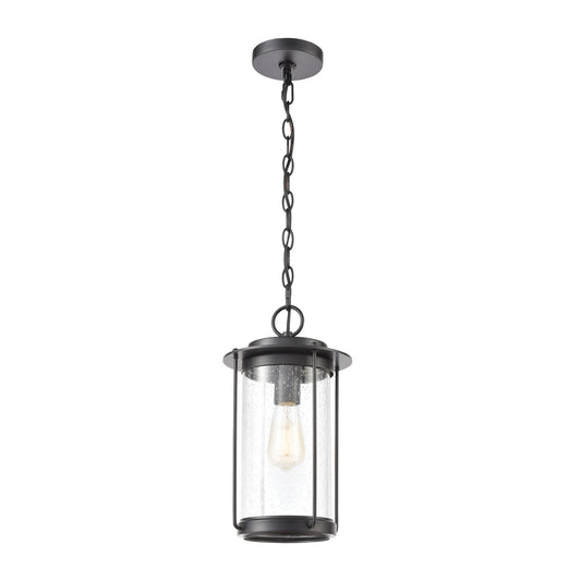 ELK SHOWROOM 46662/1 Devonshire 14'' High 1-Light Outdoor Pendant - Matte Black