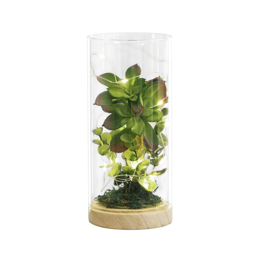 SAN MIGUEL 634222 Luna Lighting Terrarium