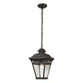 THOMAS 8511EH/70 Mendham 9'' Wide 1-Light Outdoor Pendant - Hazelnut Bronze