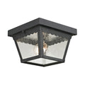 THOMAS 9102EF/65 Springfield 8'' Wide 2-Light Outdoor Flush Mount - Matte Textured Black