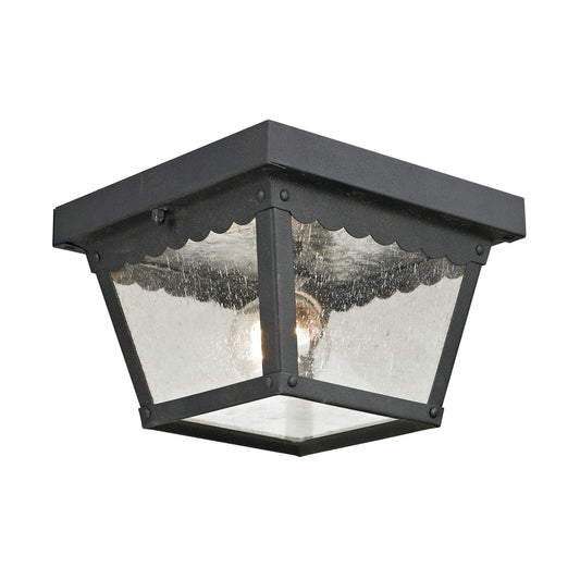 THOMAS 9102EF/65 Springfield 8'' Wide 2-Light Outdoor Flush Mount - Matte Textured Black