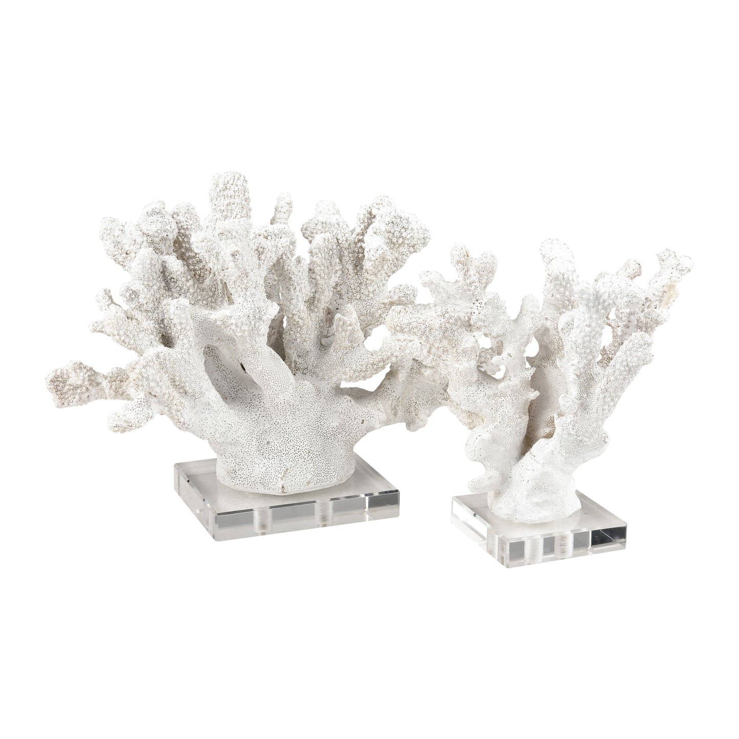 ELK STUDIO S0036-8945/S2 Coral Sculpture - Set of 2