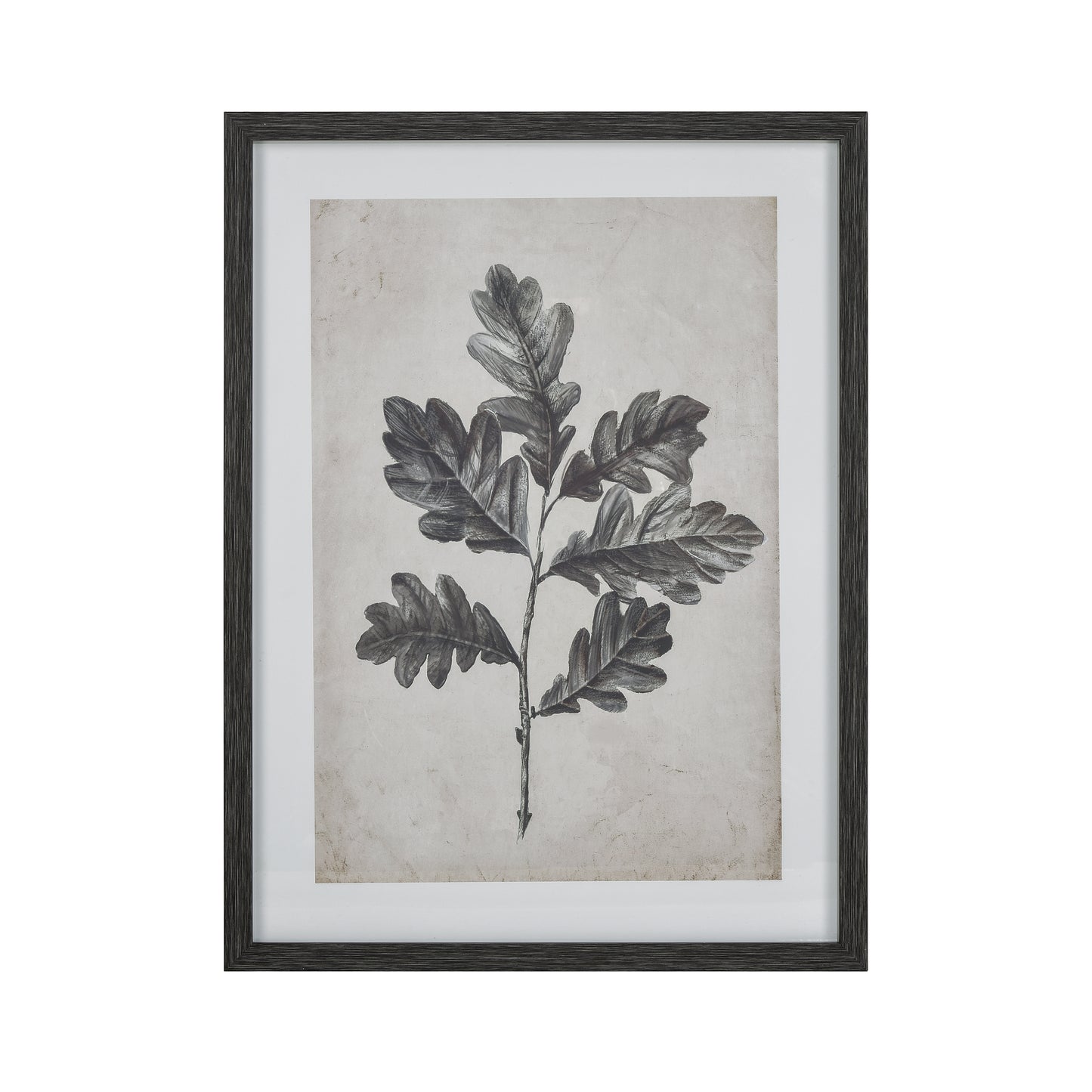 ELK STUDIO S0056-10635 Oak I Botanic Framed Wall Art