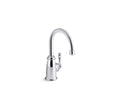 KOHLER K-6666-AG-CP Wellspring Beverage Faucet In Polished Chrome