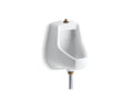 KOHLER K-5024-T-0 Darfield Washdown wall-mount 1/2 gpf urinal with top spud and bottom outlet for exposed P-trap